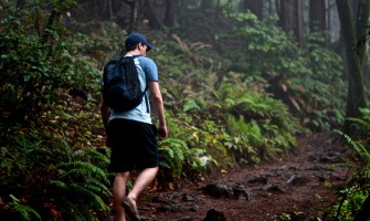 What is Pliking? What is Pliking?