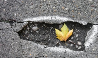 Car Park Management and Maintaining Surfaces Car Park Management and Maintaining Surfaces